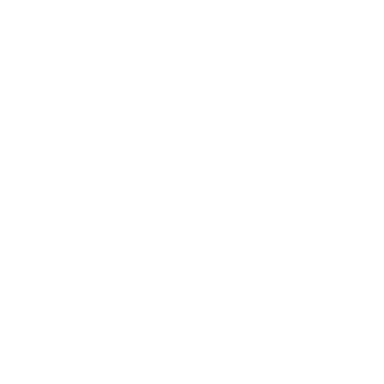 Logo Na Strništi Studio