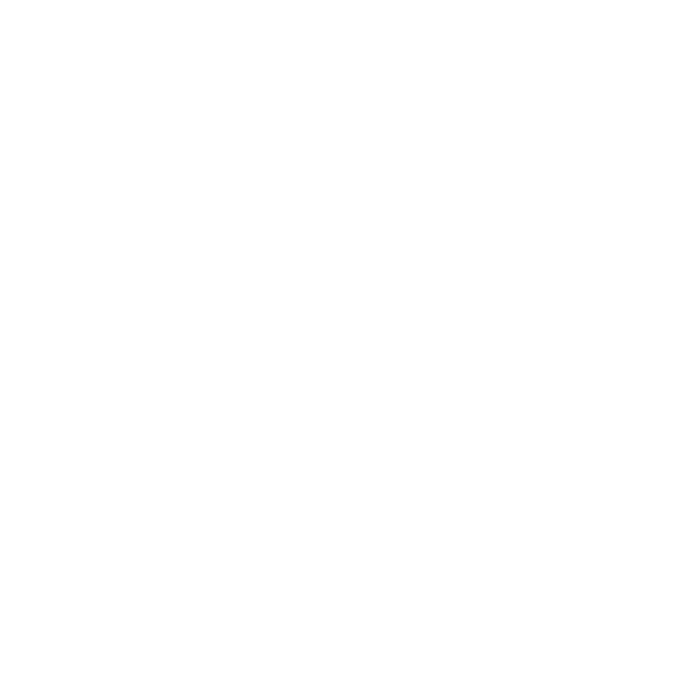 Na Strništi Studio Logo